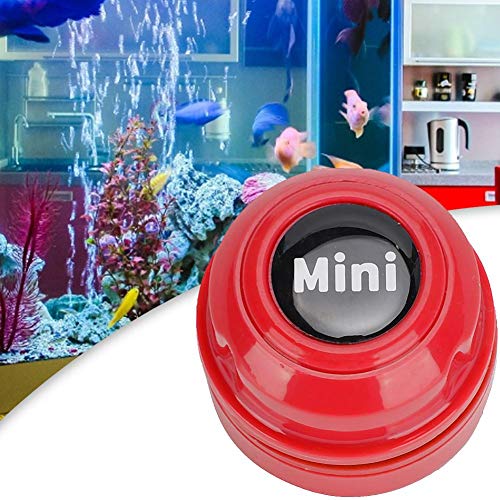 Serbatoio di pesce Detergente per vetri Mini