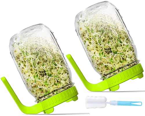 Axim Sprouts Growing Kit with Mason Jars and Sprout Lids