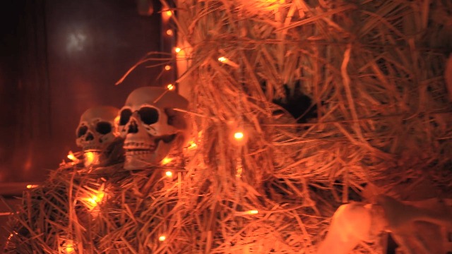 JMEXSUSS 600 LED Thanksgiving Lights Outdoor, Orange Christmas Lights Plug in, Orange String Lights Clear Wire for for Indoor Room Yard Tree Fall Thanksgiving Decorations