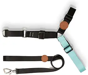 Toh Conjunto Peitoral Antipuxão E Guia Preto G