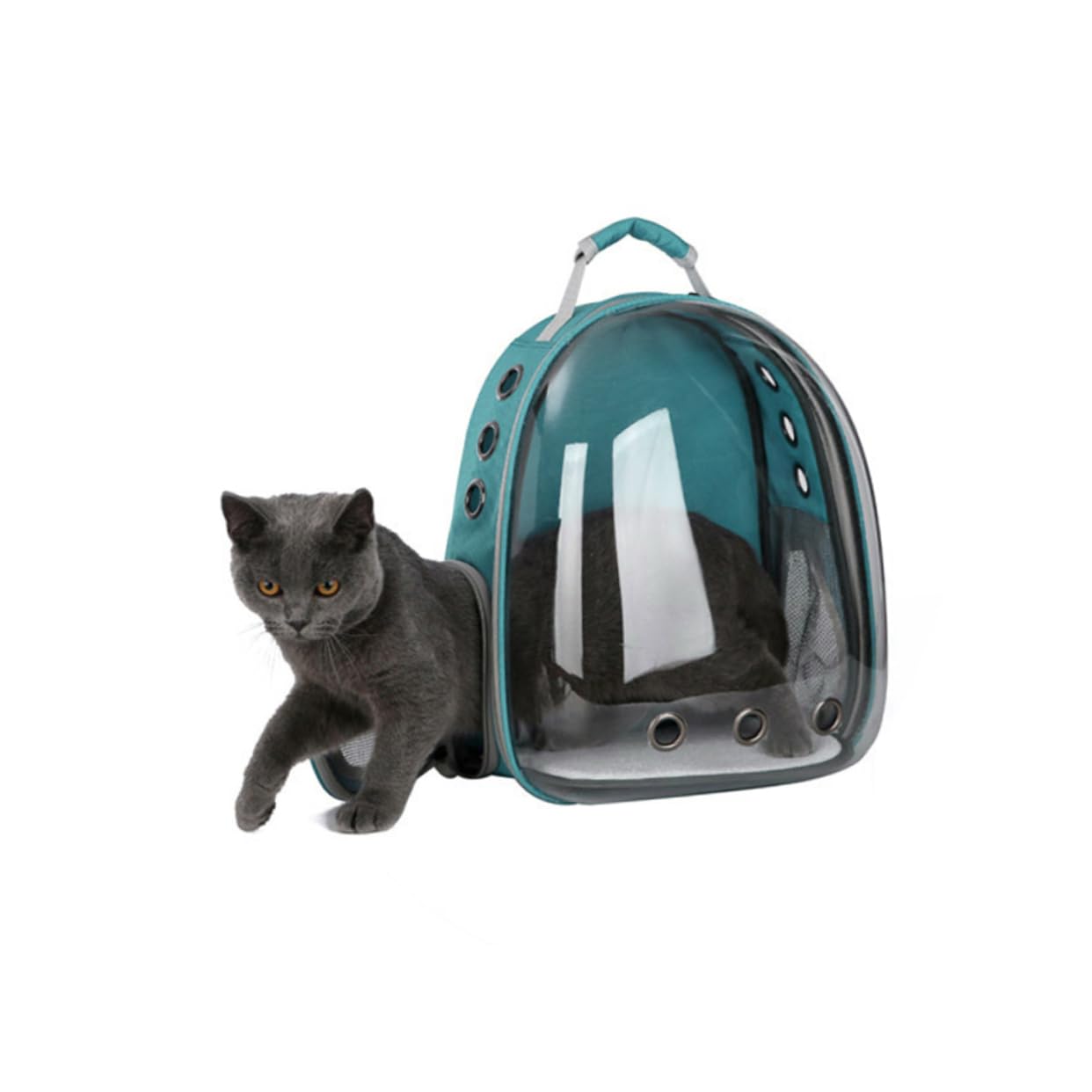 Sosoport 360Grad Atmungsaktiver Haustier Rucksack Für Katzen Und Transporttasche Mit Sichtfenster Reisetasche Für Welpen Im Modernen Design