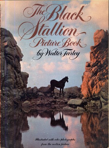 The Black Stallion Stud Picture Book 0590720597 Book Cover