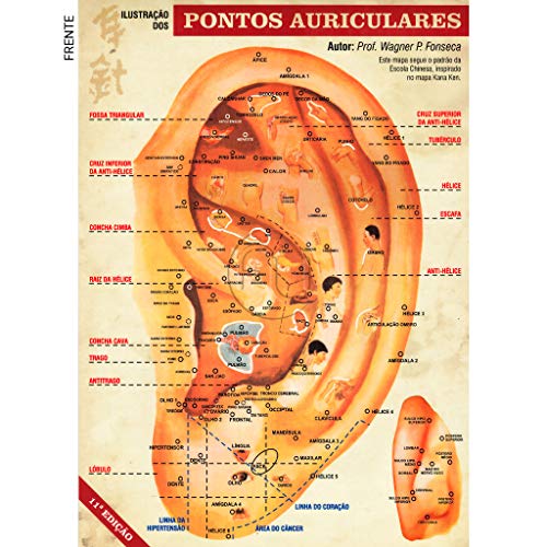 Mapa Pontos Auriculares   Acupuntura Auricular, Auriculoterapia A4 [map]