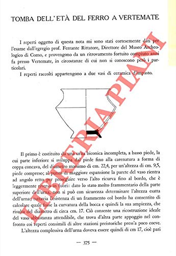 Tomba dell'Eta' del Ferro a Vertemate