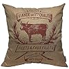   urban country home decor