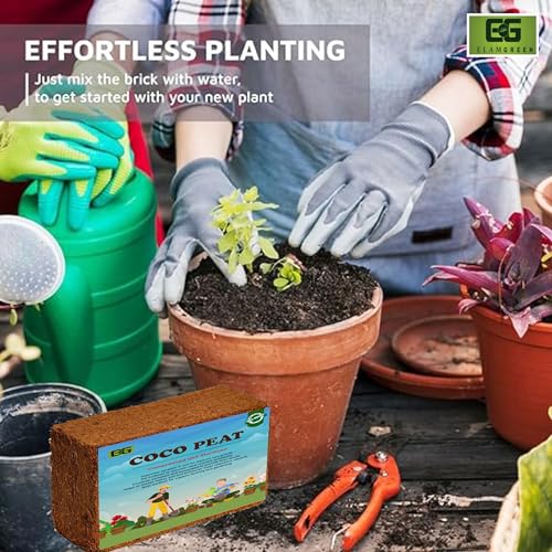 Image of Elamgreen Coco peat Buy 1 GET1 Free Coco peat for Plants and Potting Soil /Coco peat 650grms