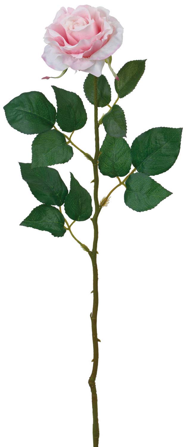 Amazon｜ポピー(Popy) 造花 スターローズ ピンク 全長59cm・花径9cm FA
