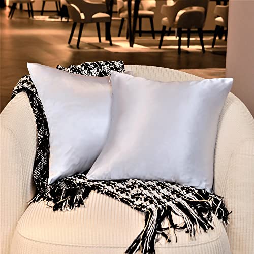 Luxqua Decorative Square Throw Pillow Covers Set Of 2, Wrinkle Fade Resistant Silk Cushion Pillow Case 16"X16" 2 Pack Silver Gray For Sofa, Bedroom & Car #TOP12