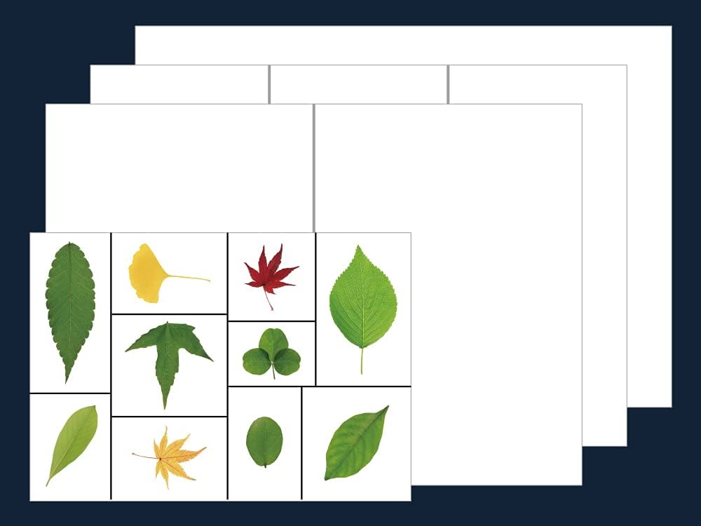 2022年度入試準備版 そっくり問題集) 慶應義塾幼稚舎・慶應義塾横浜