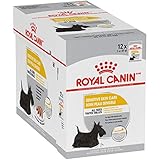Royal Canin Sensitive Skin Care Loaf in Gravy Dog Food, 3 oz pouches 12-count