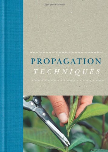 Propogation Techniques