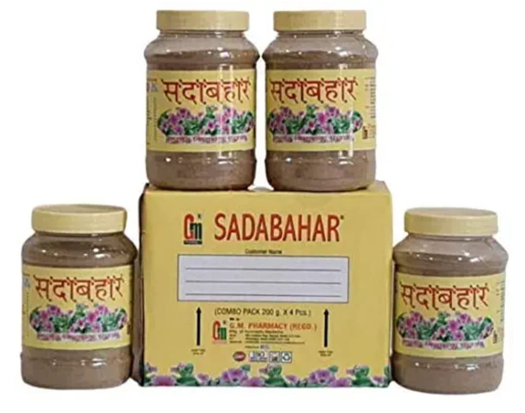G M Pharmacy Sadabahar Powder Combo Pack of 4 (200g each) for DIABETES (B08XBNK9MP) Amazon Price History, Amazon Price Tracker