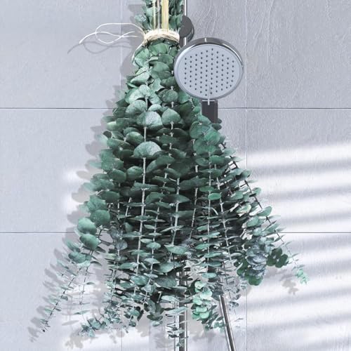 FLOURISH PLENTY Eucalyptus for Shower Hanging, Real Dried Eucalyptus Stems, Spa-like Aroma, Wedding & Home Decor, 2 Count, Small, Green, Hanging, Long Lasting, Plastic, Indoor