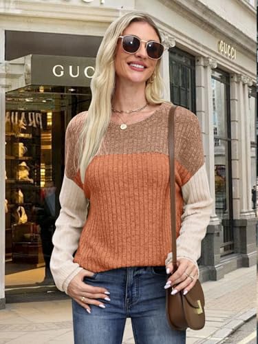 MixShe Womens Sweaters Color Block 2025 Fall Fashion Crewneck Tunic Tops S-XXL