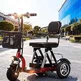 Portable Folding Mobility Scooter, Mobility Scooters for Adults, Scooters for Senior Citizens,Ideal for Elderly & Disabled,Comfortable Seat,20A,8 inch