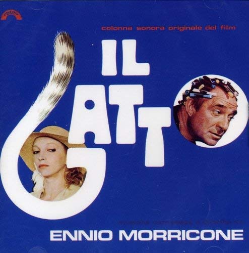 Il Gatto