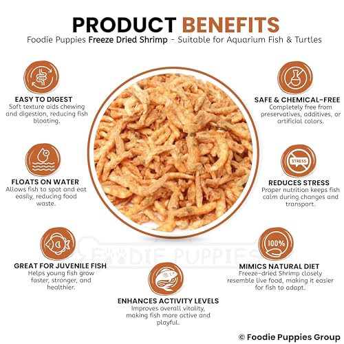 Foodie Puppies Freeze Dried Shrimp 35g, Pack of 2 - Food for Discuss, Arowana, Cichlid, Flowerhorn, Oscar Red Parrot & Other Carnivorous Fish