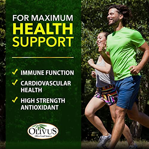 Olivus OLC-MAX60 Oliveleafmax Olive Leaf Extract (40% Oleuroepin) + Organic Olive Leaf Powder + No Fillers + 60 Vegetarian Capsules + Sourced From Spain And Manufactured In Usa At Gmp Facility thumb #3