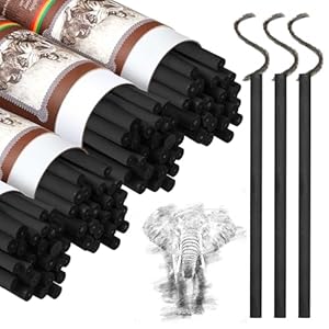 Gueevin 100 Pieces Willow Charcoal Sticks, Willow Charcoal, Soft Black Drawing Charcoal for Sketching and Drawing Art Sketch Artists Supplies, 5.7 Inch in Length, 5-7 mm in Diameter