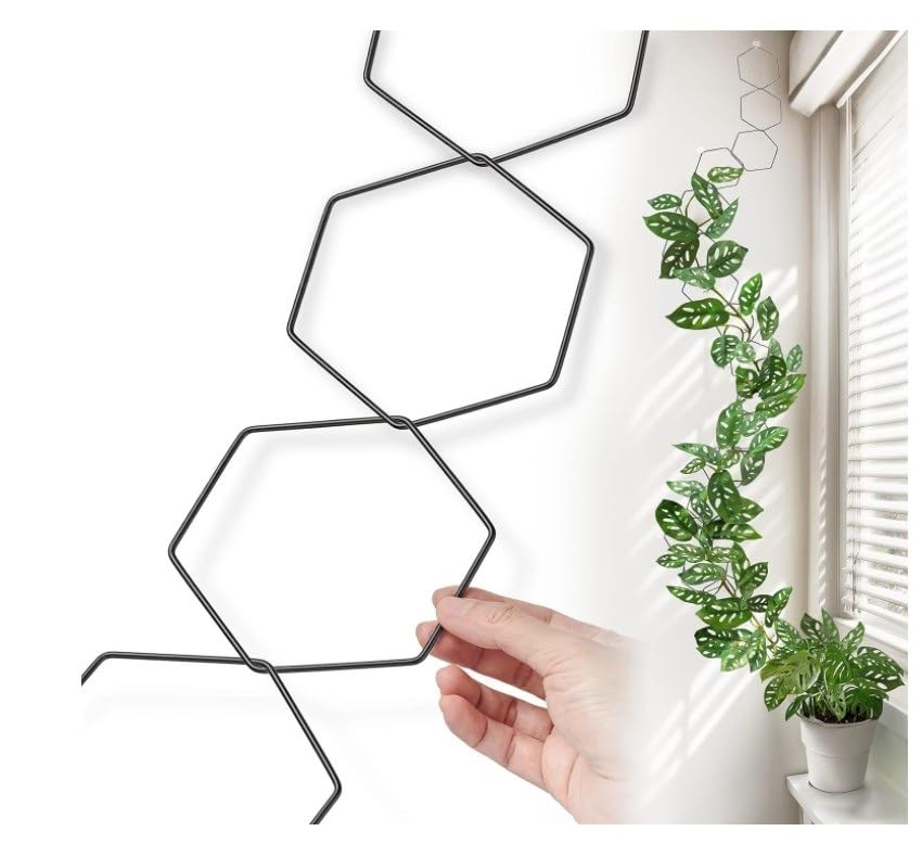 See full amazon price history chart for Plant Stand Support Chain, Hexagon Chain Climbing Plant Trellis, Support for Indoor & Outdoor Vines, Wall Decor with Sticky Invisible 2 Hooks & 2 C Clips. 5 Feet Length. BrandedVibes® Plant Stand Support Chain, Hexagon Chain Climbing Plant Trellis, Support for Indoor & Outdoor Vines, Wall Decor with Sticky Invisible 2 Hooks & 2 C Clips. 5 Feet Length. BrandedVibes® (B0D6KVRY3Z) Amazon Price History, Amazon Price Tracker