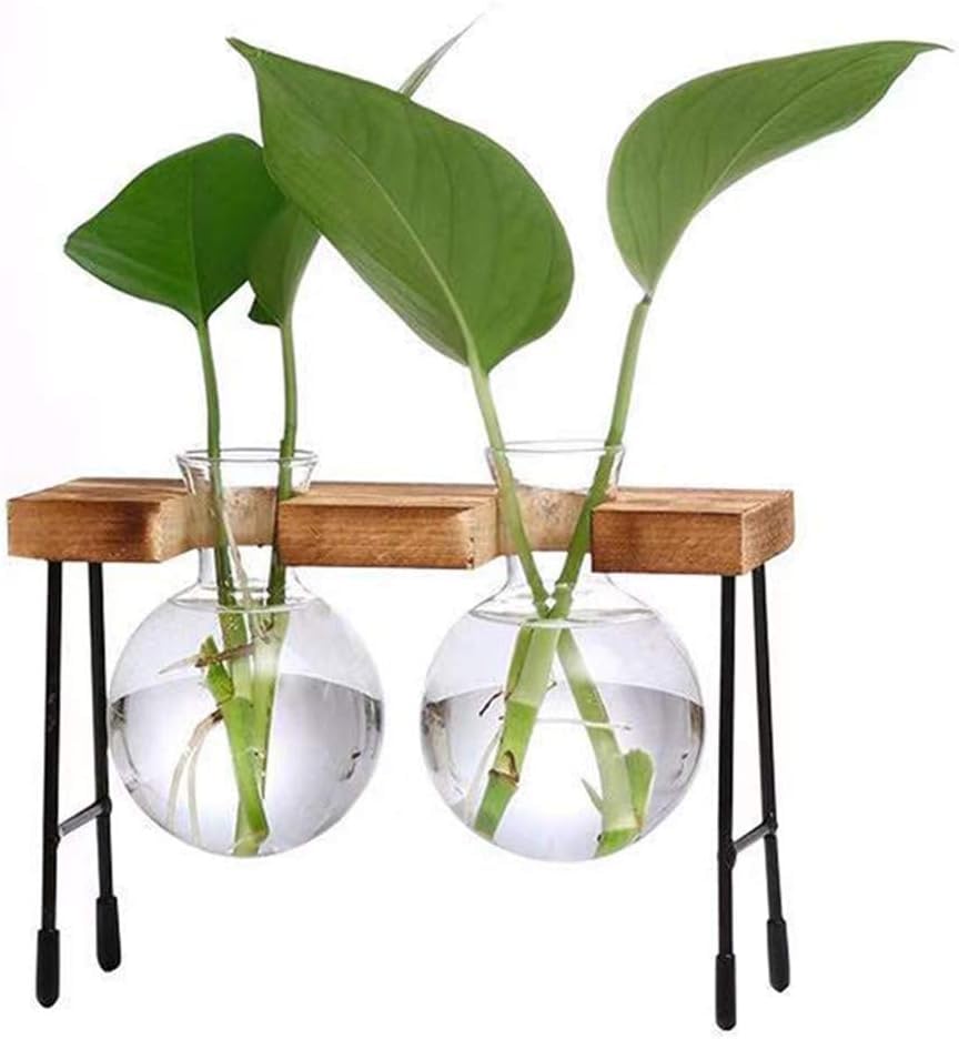 Benting Plants Propagation Stations with Wooden Stand, Glass Planter Tabletop Bulb Vase for Hydroponics Plants Home Office Decor-2 Vase
