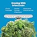 AeroGarden Harvest Lite in Cream, Soil-Free Indoor Hydroponic Garden with LED Grow Light for Year-Round Gardening of up to 6 Herbs and Vegetables