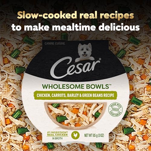 Image of Cesar Wholesome Bowls Wet Dog Food, Chicken & Green Beans, 3 oz, 10 Count | Real chicken #1 ingredient, slow-cooked, 10 key ingredients, no by-products or artificial flavors, easy to digest