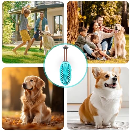 agogue 1 Stück Hundespielzeug Unzerstörbar, Dog Spiel, Hunde Spielzeug Für Kleine Und Große Hunde, Zahnpflege Und Intelligenzförderung