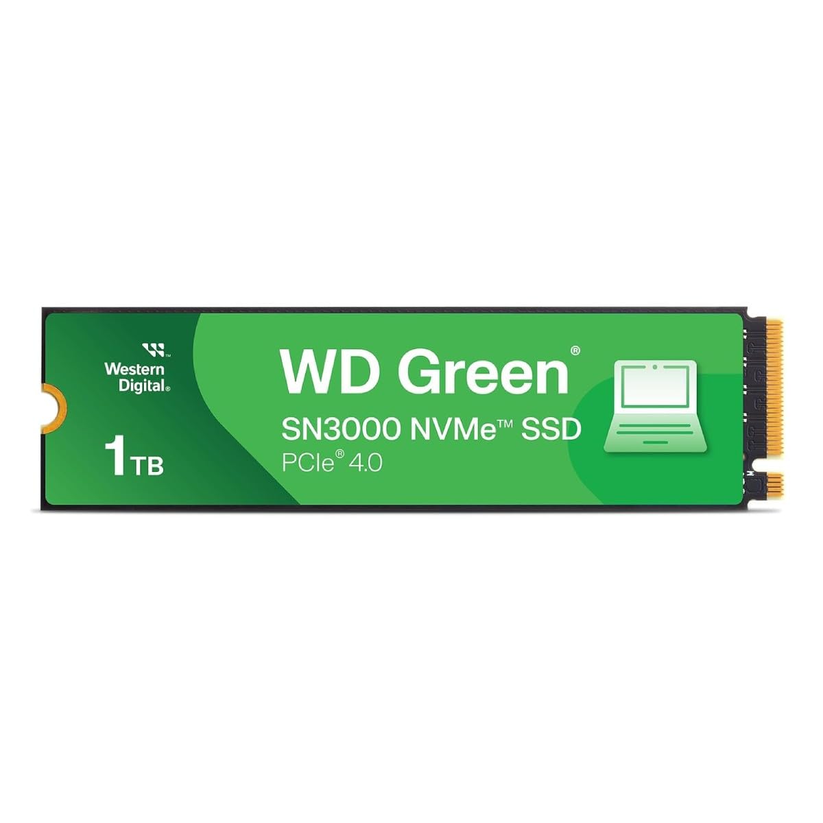 内蔵型SSD Western Digital WD M.2 SSD 1TB NVMe Amazon.com: Western Digital 1TB WD Blue SN570 NVMe Internal