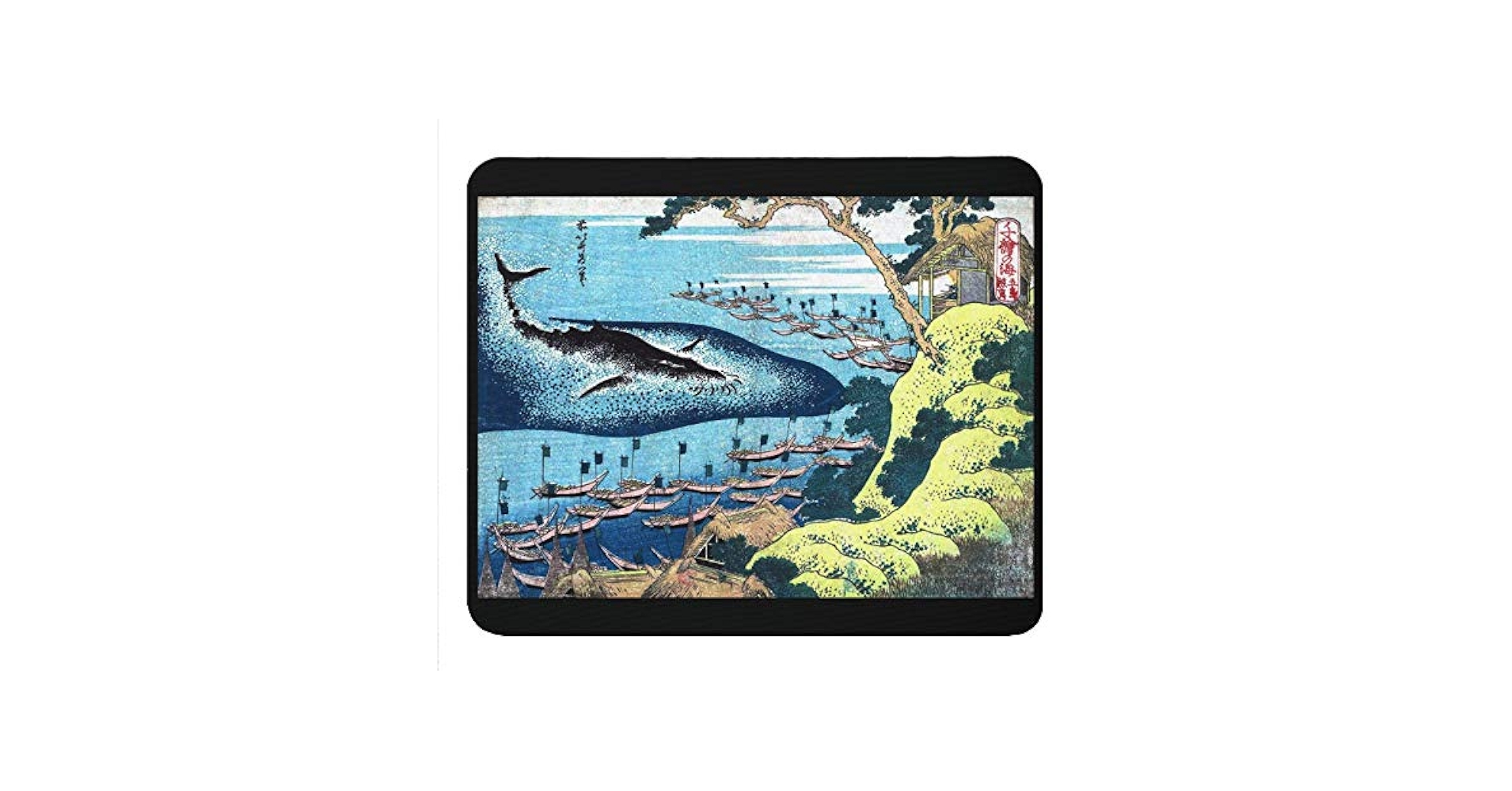 510sUW8QejL.jpg_BO30,255,255,