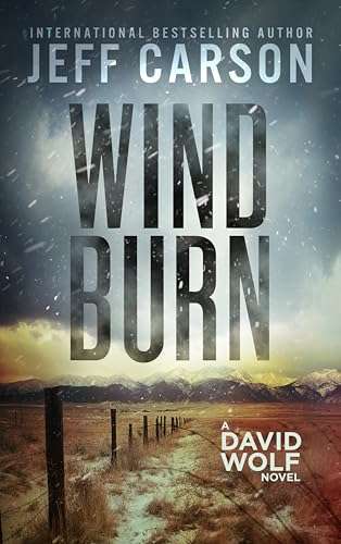 Wind Burn (David Wolf Mystery Thriller Series Book 19)