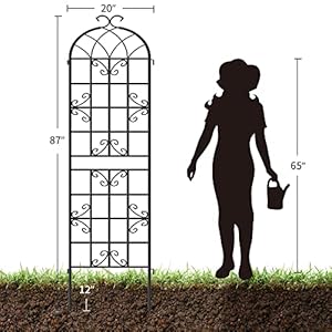YITAHOME Garden Trellis Garden Fencing for Climbing Plants 4 Pack Decorative Plant Trellis Vegetables and Flower Trellis for Outdoor Patio-19.7×86.6 inches YITAHOME Garden Trellis Garden Fencing for Climbing Plants 4 Pack Decorative Plant Trellis Vegetables and Flower Trellis for Outdoor Patio 197866 inches