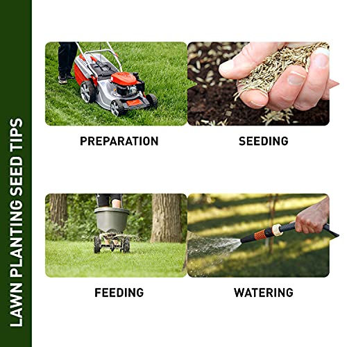 Grass Seed Blends For Sandy Soil Beach Properties