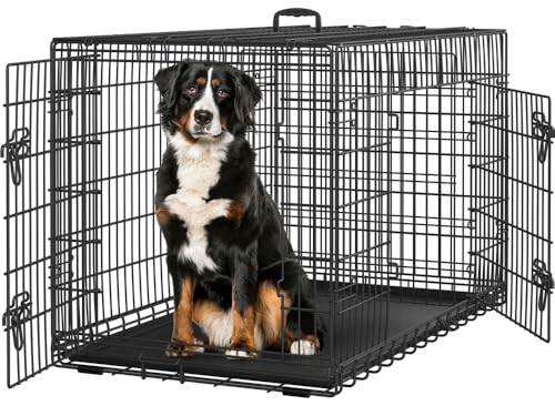 Hundebox für den Labrador Hundebox für den Labrador