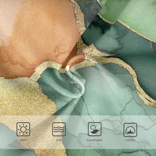 Briefs Soft Panties Organic Underwear for Toddler in Sizes 2T,3T, 4T, 5T, 6Y and 8Y3