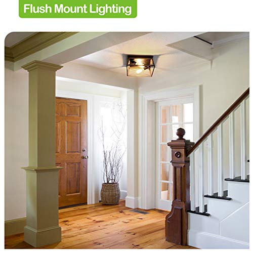 image for hykolity 2 Light Flush Mount Ceiling Light, Metal Rectangle Rustic Ind