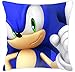 By Sonic Boom Sonic The Hedgehog - Funda de cojín cuadrada de terciopelo suave con cremallera oculta para sofá, sala de estar, decoración del hogar (45,7 x 45,7 cm)