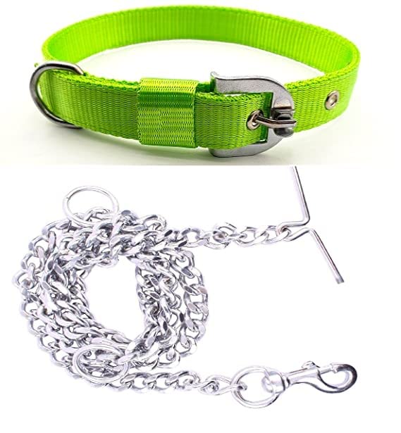 Toms Pet Mall Dog Belt Combo of 1 Inch Nylon Collar Belt with Heavy Duty 63 Inch Lengthy Stainless Steel Dog Leash Chain Set Ideal for Training and Playing Dogs and Puppies (Green) (B0BY8CJ79M) Amazon Price History, Amazon Price Tracker