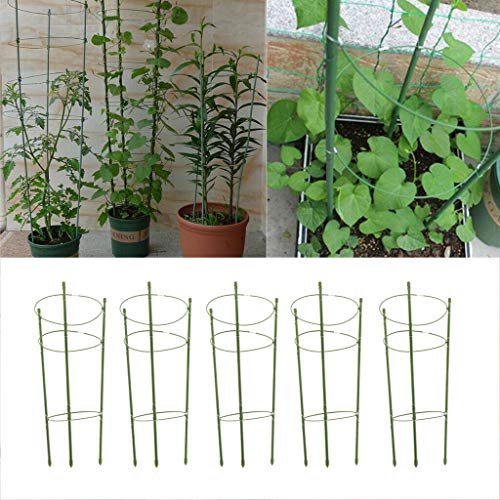 BADASS SHARKS Juego de 5 Anillos cónicos de Apoyo para Plantas de jardín