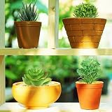 QUOZUO 6 succulentes artificielles vertes de 6 à 13 cm photo 5