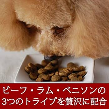 ペットカインド　トライプ＆レッドミート11.34kg ペットカインド ペットカインド トライプドライ レッドミート