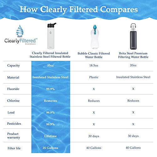 Insulated Stainless Steel Water Bottles (Black)