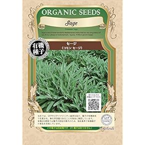 凄く種子取れます❗️実生　寄せ植え　13株　鉢のまま発送　銀冠玉 528 [No failures in spring] Of course, you can enjoy it