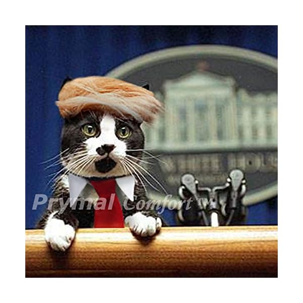 Prymal comfort cat/dog costume for halloween, parties and pictures (trump) - image 3
