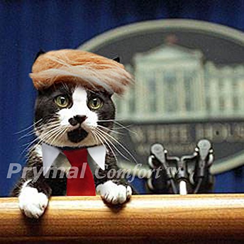 Prymal comfort cat/dog costume for halloween, parties and pictures (trump) 2 Prymal comfort cat/dog costume for halloween, parties and pictures (trump) - image 3