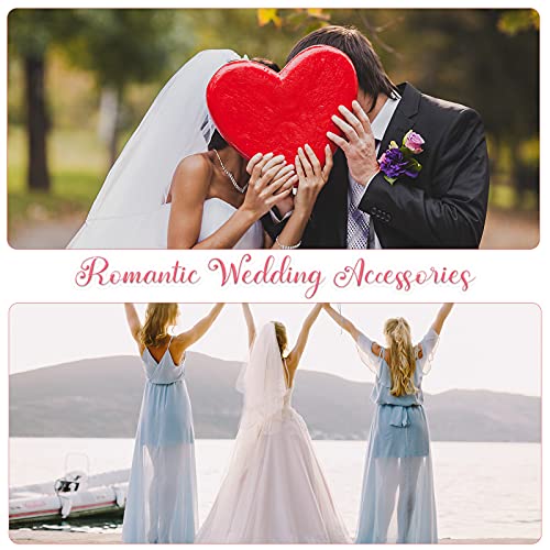 VOLLGUFEN Velo Sposa con Pettine Velo da Sposa a 2...