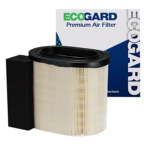ECOGARD XA10580 Premium Engine Air Filter Fits Ford F-250 Super Duty 6.7L DIESEL 2017-2019, F-350 Super Duty 6.7L DIESEL 2017-2019, F-450 Super Duty 6.7L DIESEL 2017-2019