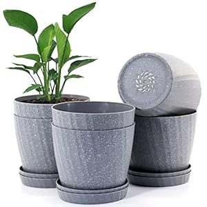 6” Plant Pots Bulk, 6 Pack Plastic Planters with Drainage Holes and Saucers for Indoor Outdoor House Plants and Flowers, Grey Spots