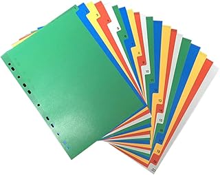 NUOBESTY 20 páginas, divisórias de fichário, divisórias de fichário, divisórias de índice de página, divisórias multicoloridas, divisórias de bolso, ferramenta de organização de documentos (número impresso em cores)
