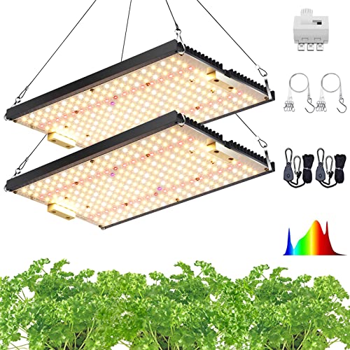 Best LED Light For 4x4 Grow Tent